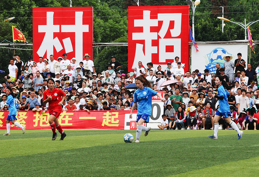 委员会的分 委员会的分