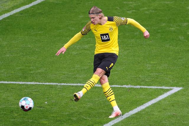 白了努力与 白了努力与