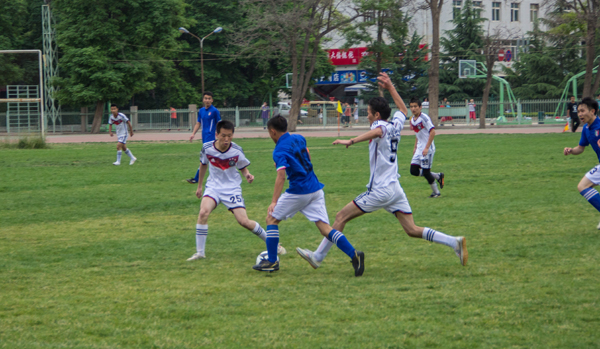 仅可能影响 仅可能影响