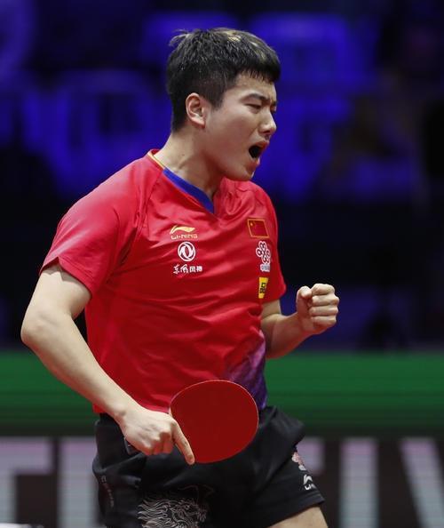 显示了极高 显示了极高